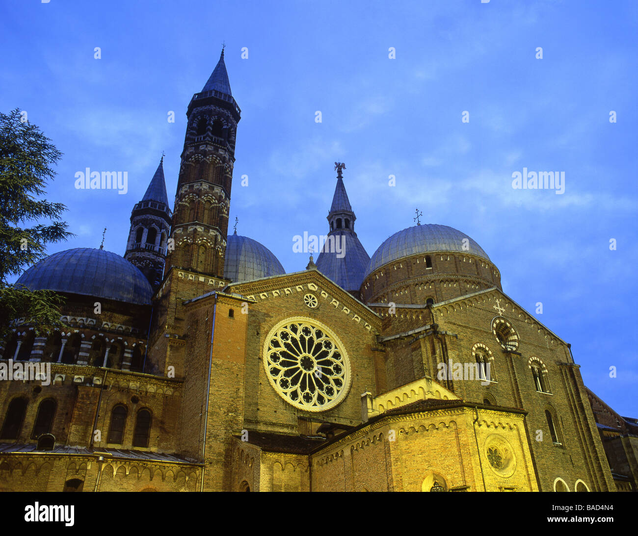 Basilica del Santo Basilica of St Anthony of Padua at night Padua Veneto Italy Stock Photo