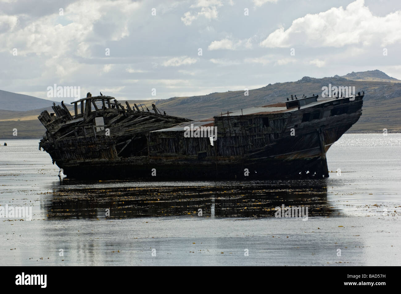 Old Shipwreck in Stanley Harbour, Falkland Islands Stock Photo - Alamy