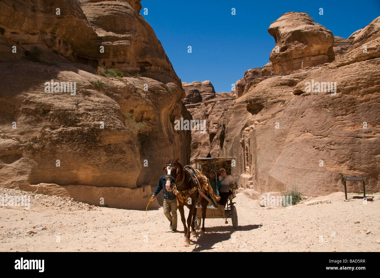 A horse and cart carrying tourists gallops through the Siq narrow gorge in the ancient Nabatean city of Petra Jordan Stock Photo