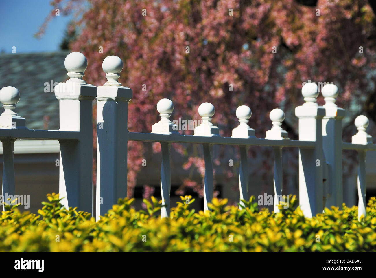 Metal fence posts around highend property Stock Photo Alamy