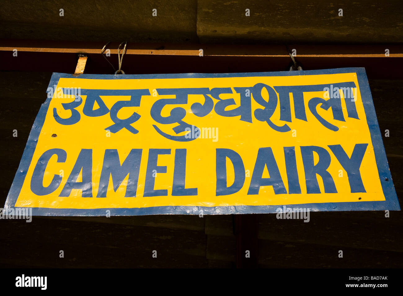 Camel Dairy sign at the National Camel Research Centre, Jorbeer, Bikaner, Rajasthan, India Stock Photo