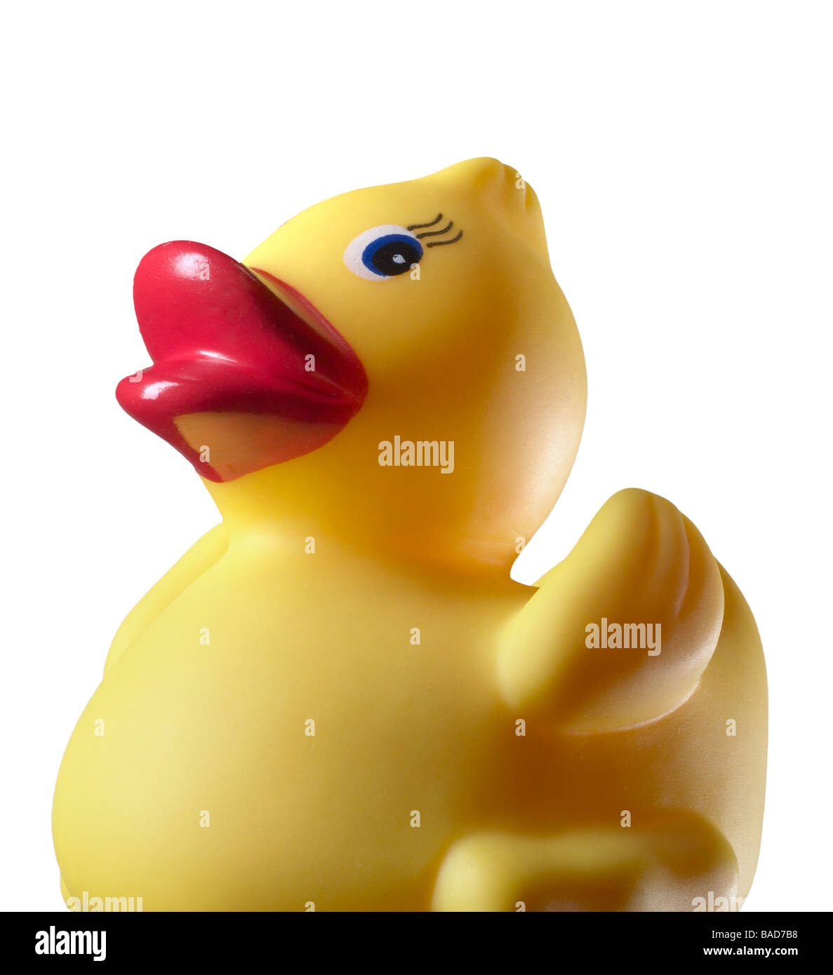 Rubber Duck Toy Duck Bath Toy Detail Cut Out Stock Photo