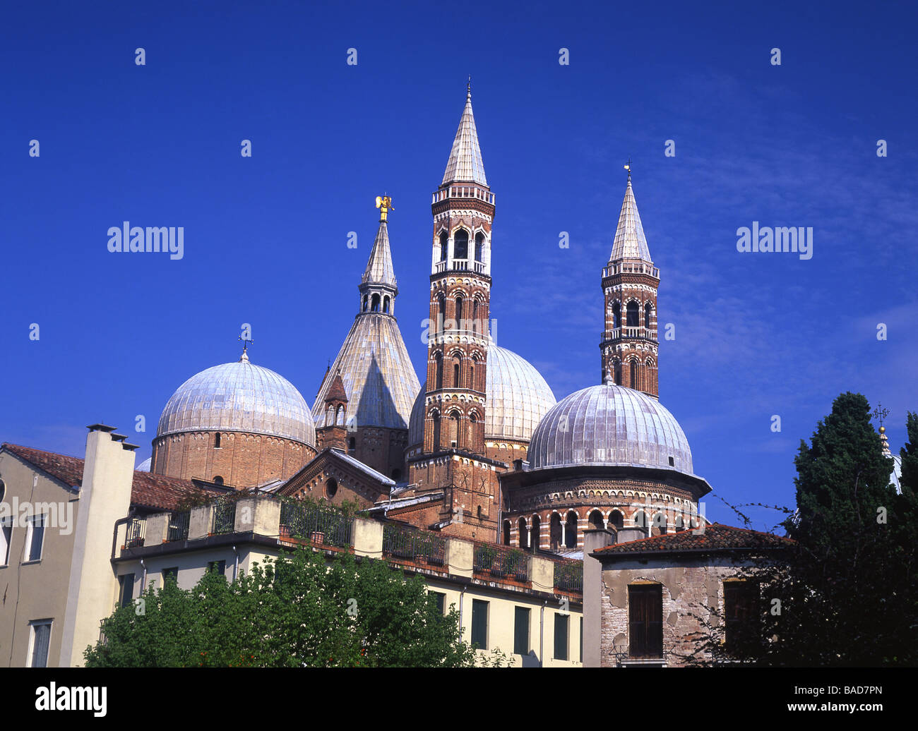 Basilica del Santo Basilica of St Anthony of Padua Padova Padua Veneto Italy Stock Photo