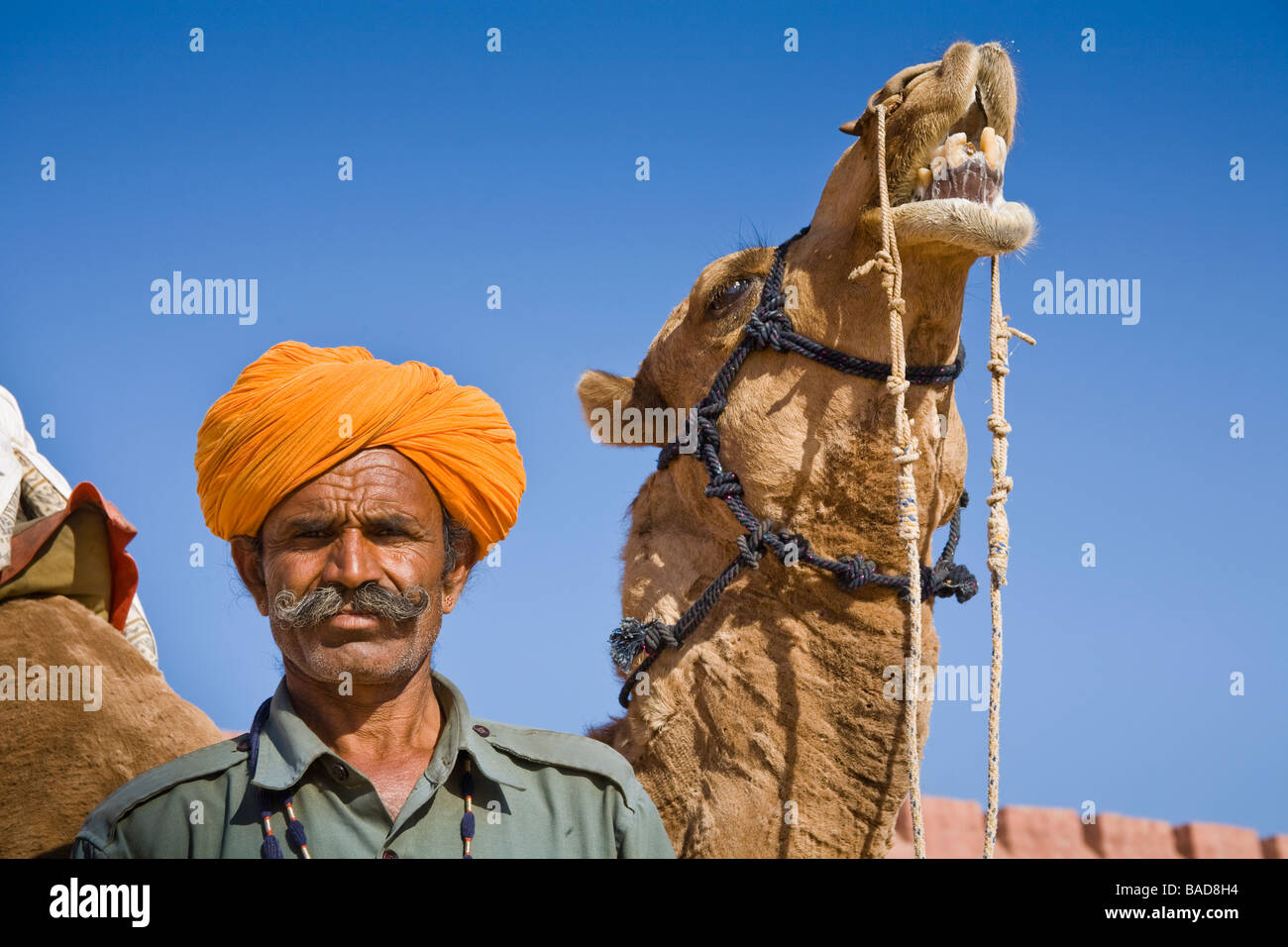 Man standing beside a camel at Osian Camel Camp, Osian, Rajasthan, India Stock Photo