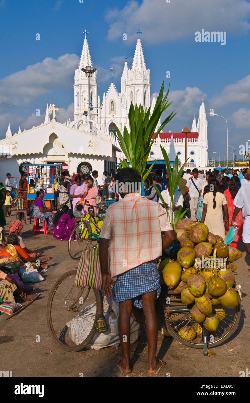 Coconut seller Velankanni Tamil Nadu India Stock Photo