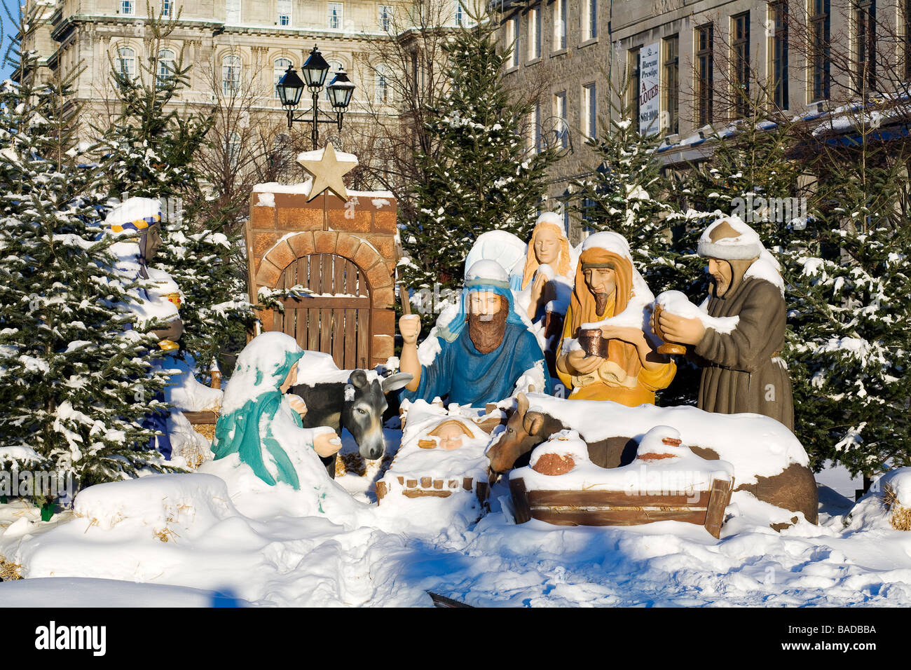 snow crib