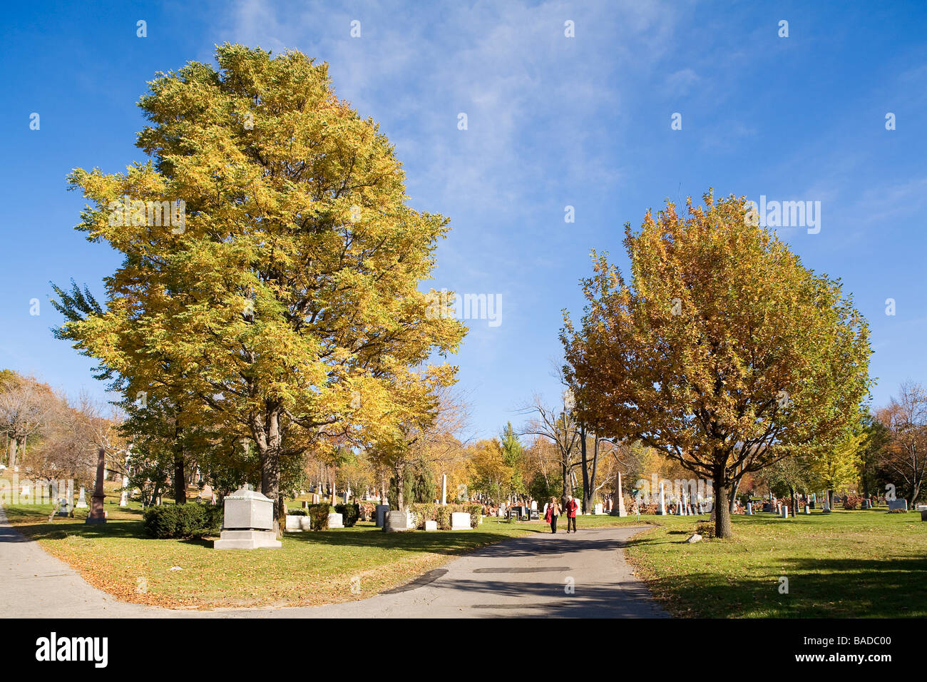 Canada, Quebec Province, Montreal, Mont Royal Cemetery in Autumn Stock Photo