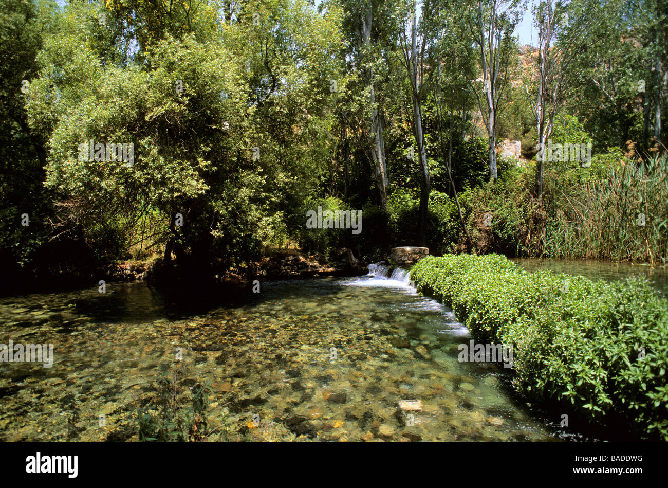 Israel, North District, north of Golan, Banias, basin on the Banias, one of the Jordan river sources Stock Photo