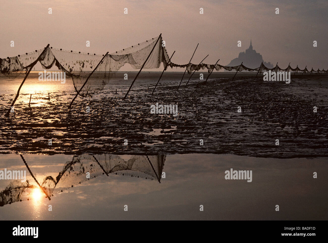 France, Manche, Saint Michel de Montjoie area, Mont Saint Michel