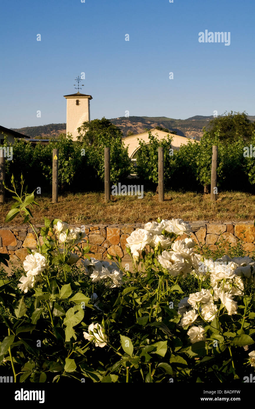 United States, California, Napa Valley, Oakville, Robert Mondavi Winery, vineyards, floral roses Stock Photo