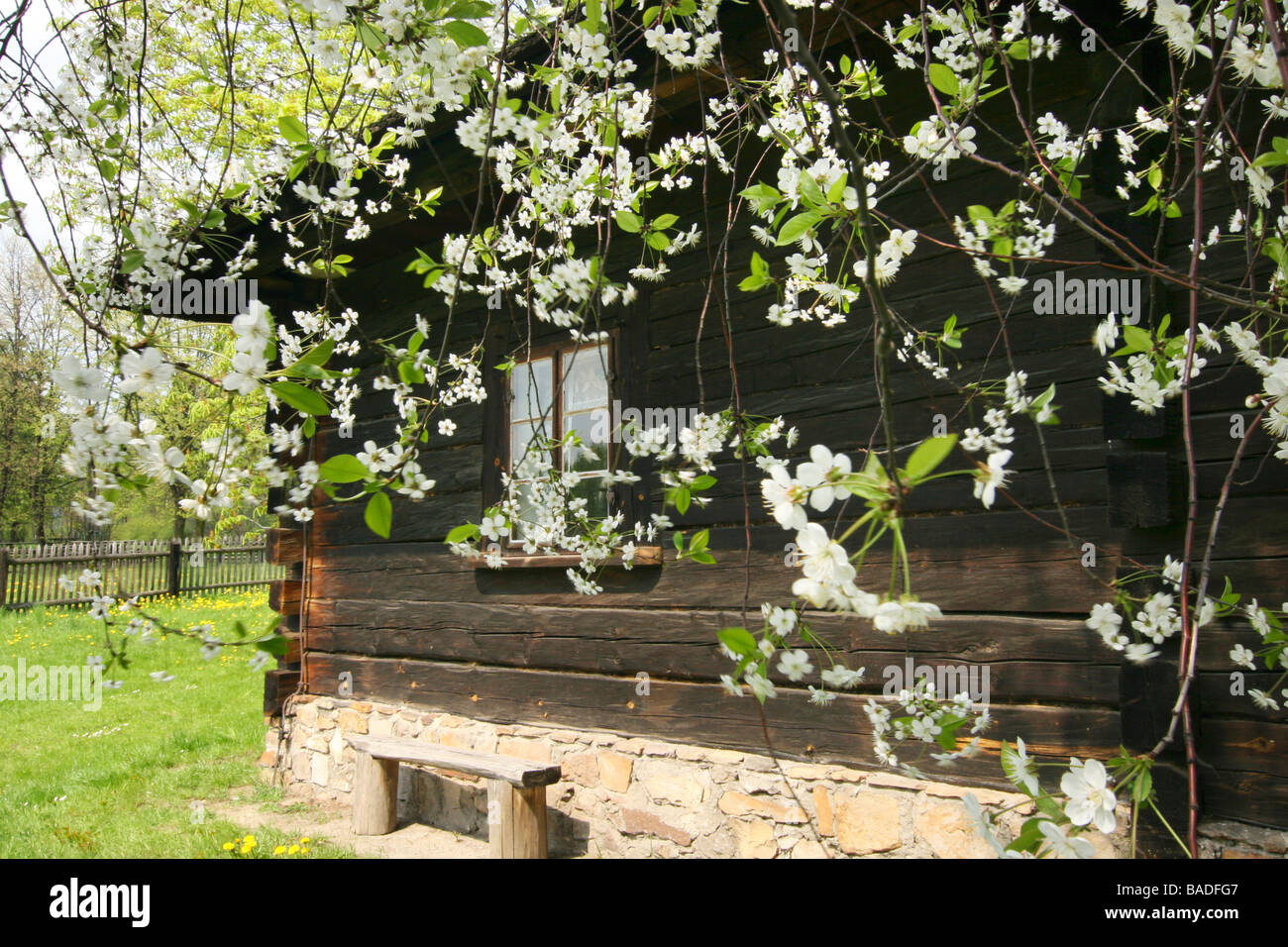 Spring in heritage park. Stock Photo