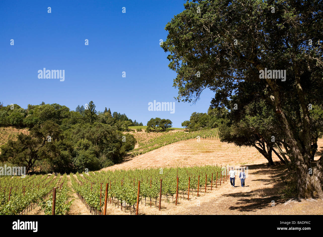 St helena people hi-res stock photography and images - Alamy