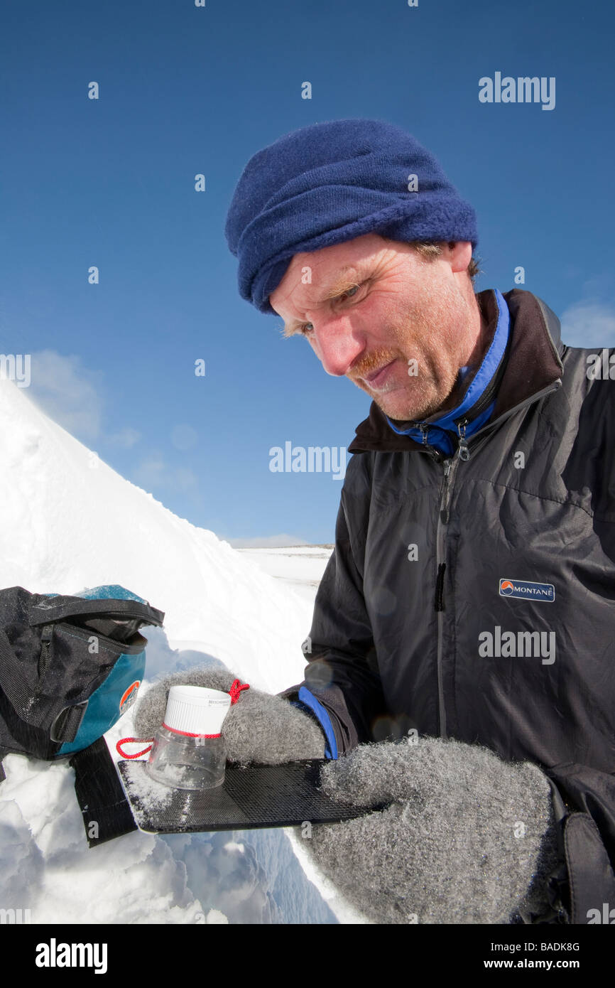 A member of the Scottish Avalanche Information Service looks at snow crystals to help assess avalanche risk Stock Photo