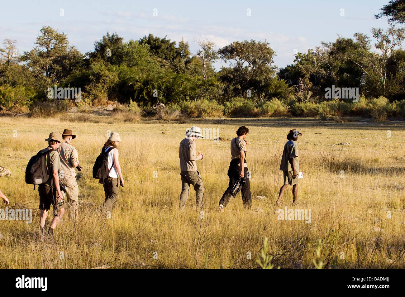 Botswana, North-west district, Okavango delta, walking safari Stock Photo -  Alamy