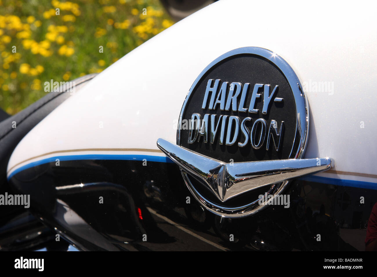 Close up of the badge on the petrol tank of a Harley Davidson bike Black and white paintwork Stock Photo