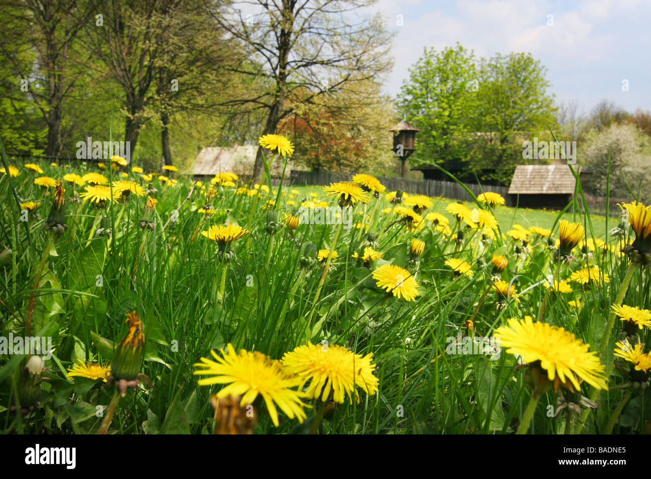 Spring in heritage park. Stock Photo