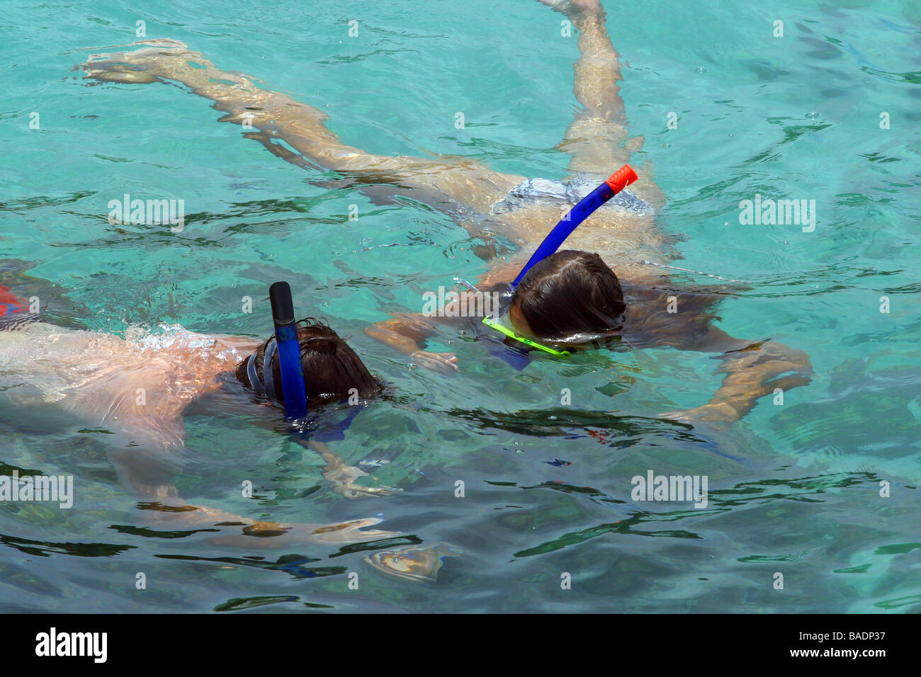 В тайланде утонула в бассейне. Подводное плавание. Снорклинг. Снорклинг в Тайланде.