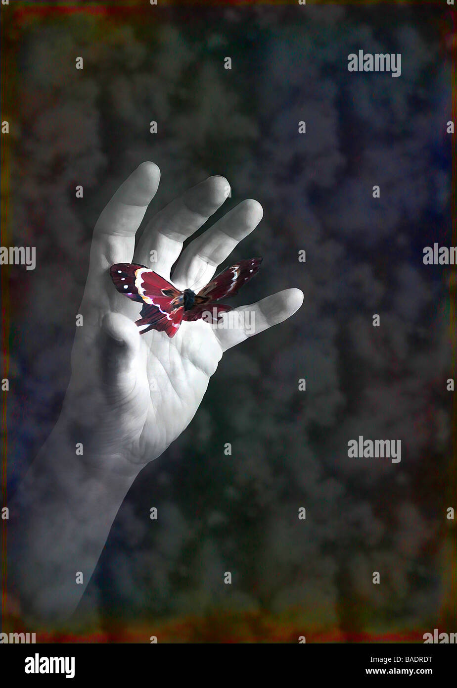 Concept image. Hand catching a butterfly.  Digital art. Stock Photo