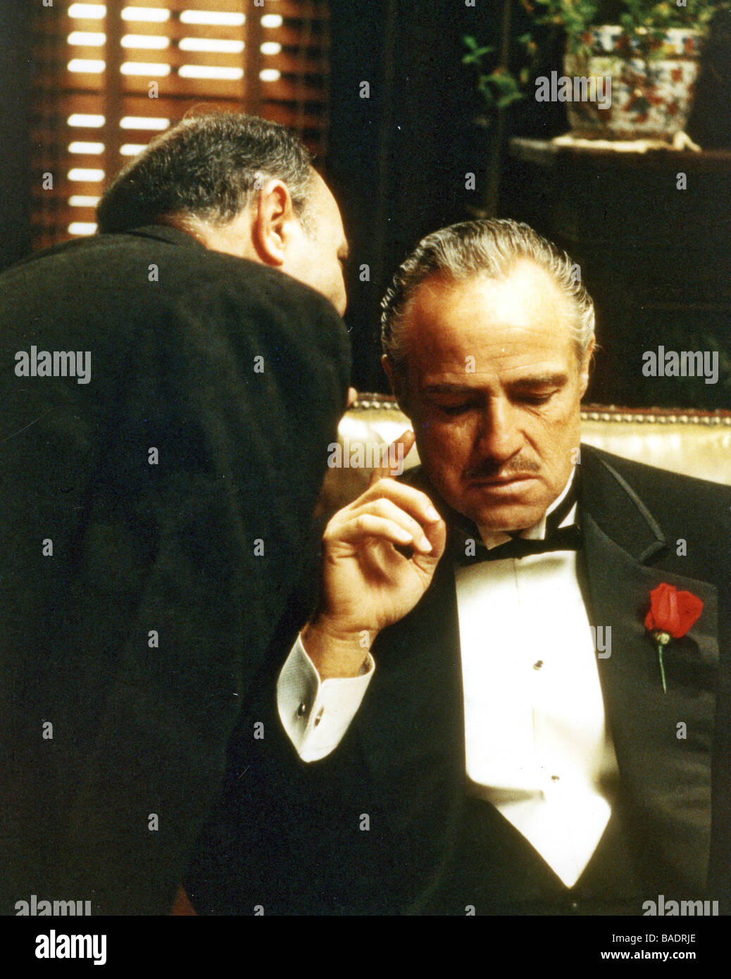 El Padrino 1972 The Godfather El Padrino Robert Duvall Marlon Brando