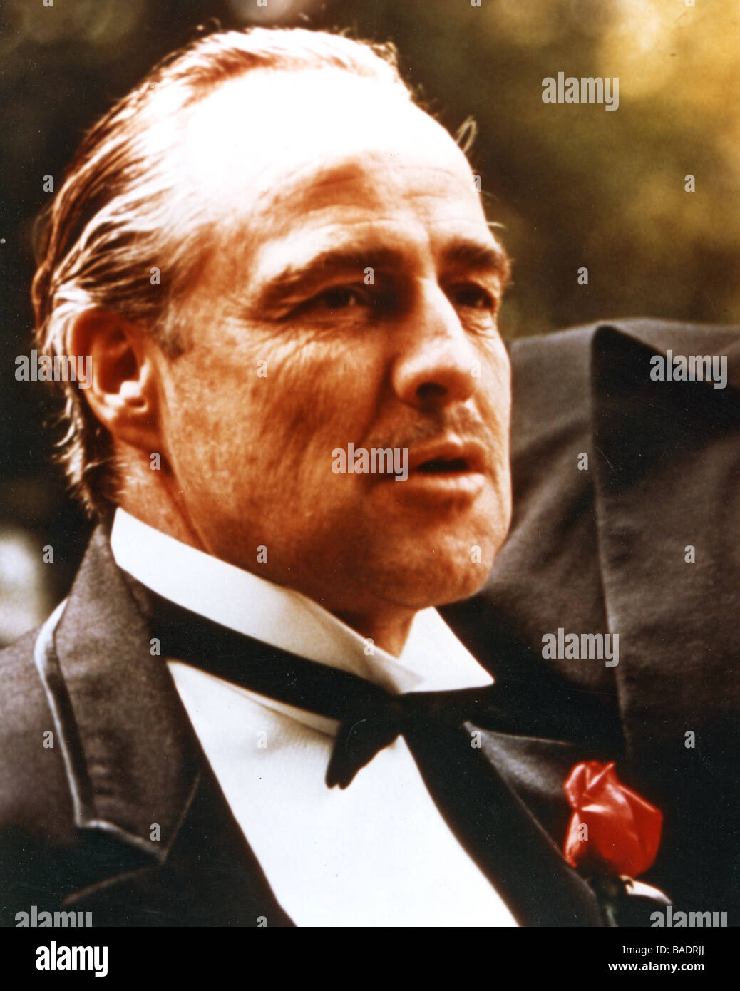 THE GODFATHER 1972 visual data 4