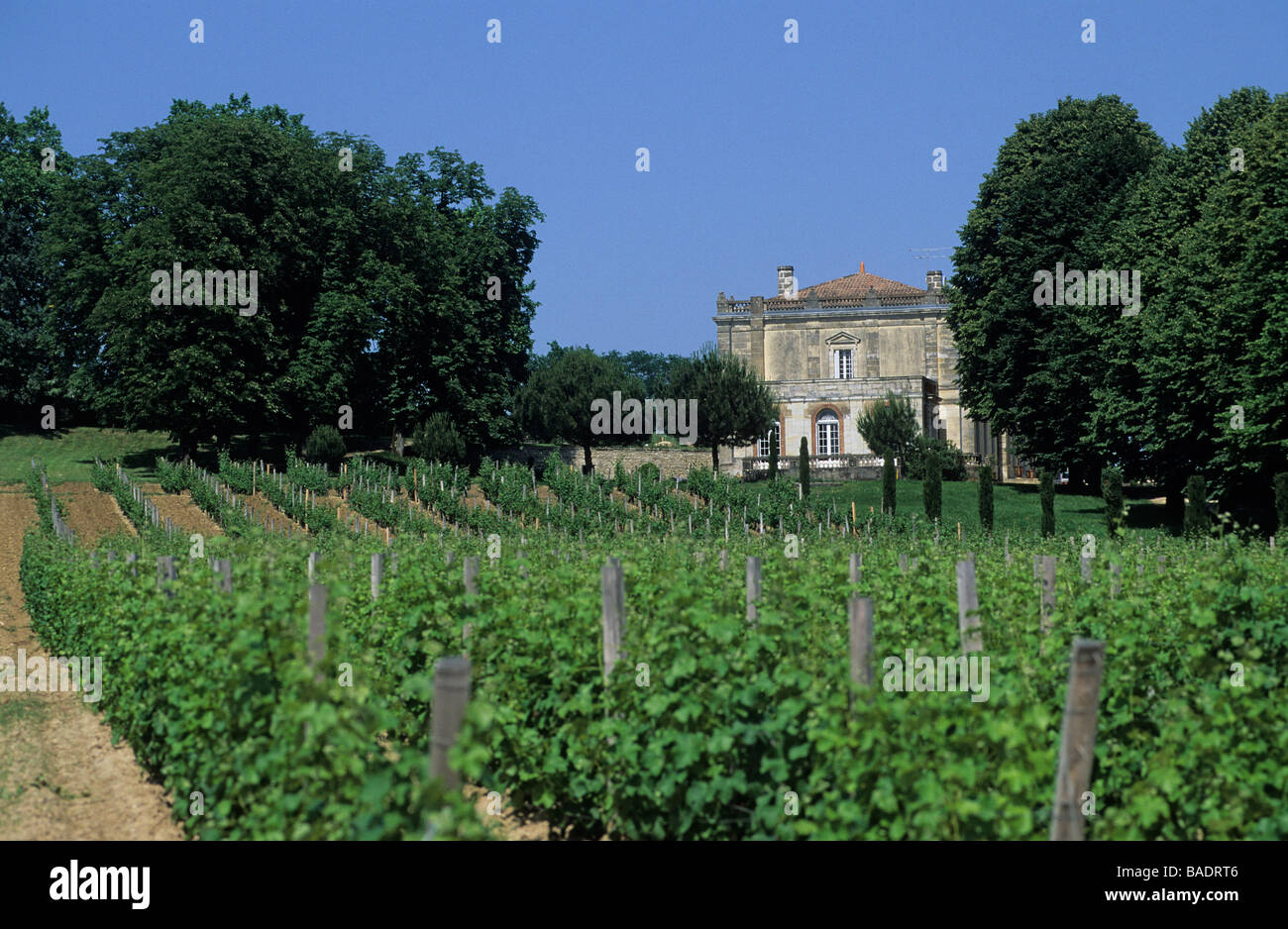 premieres-cotes-de-bordeaux-hi-res-stock-photography-and-images-alamy