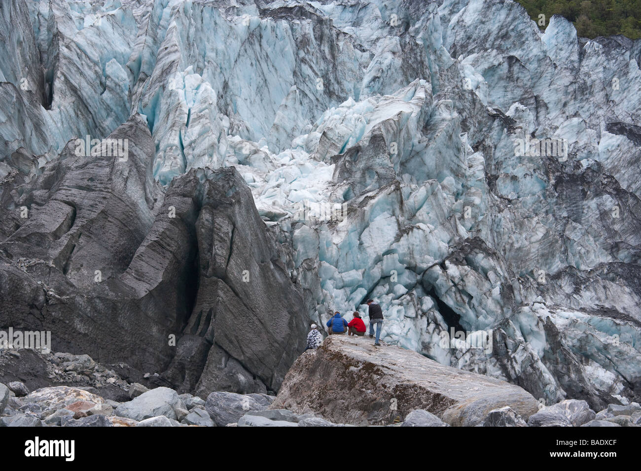 Fox Glacier Mount Cook National Park South Island New Zealand Stock