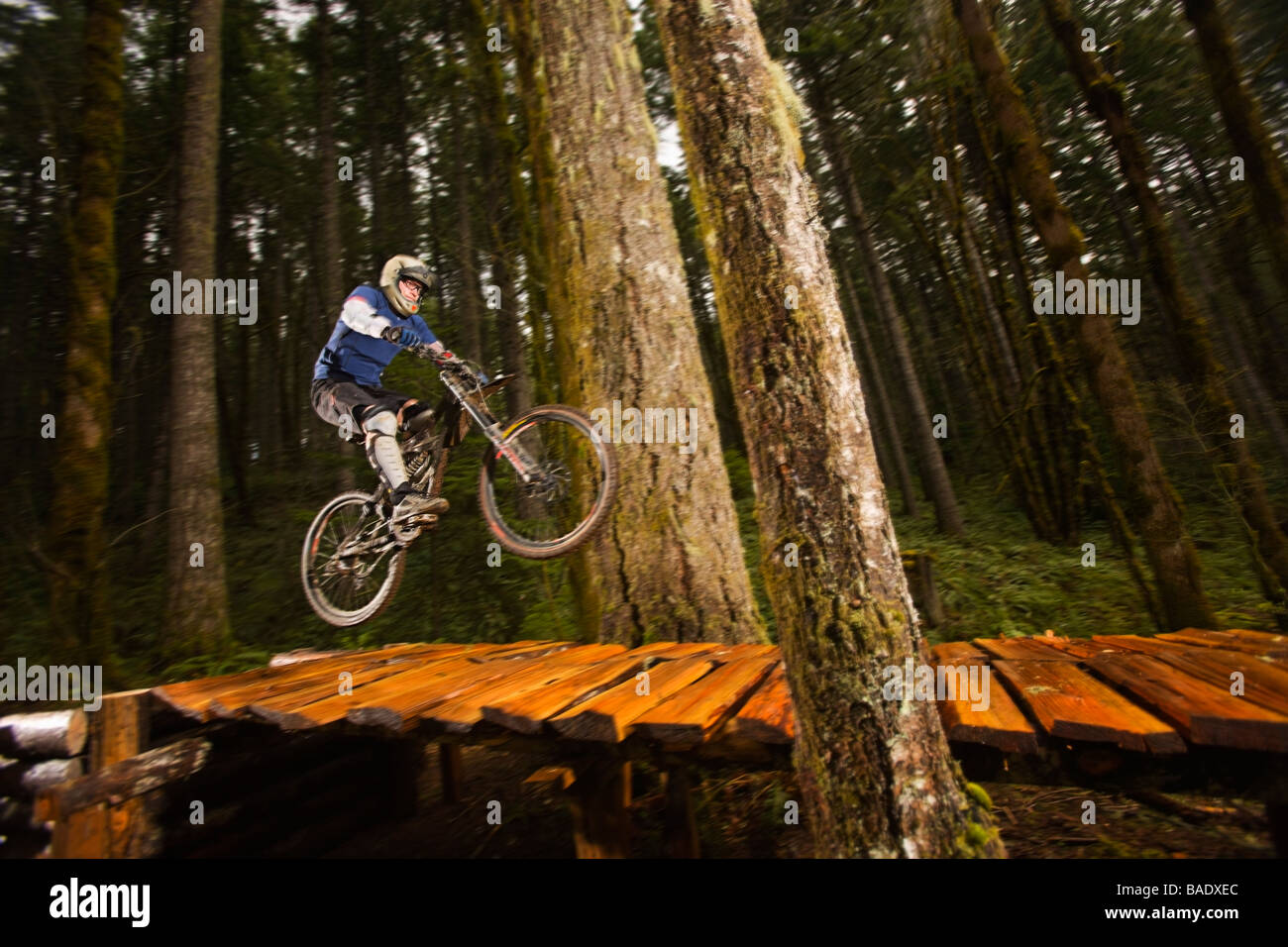Mountain Biker Performing a Stunt, Blackrock Mountain Bike Park, Near Salem, Oregon, USA Stock