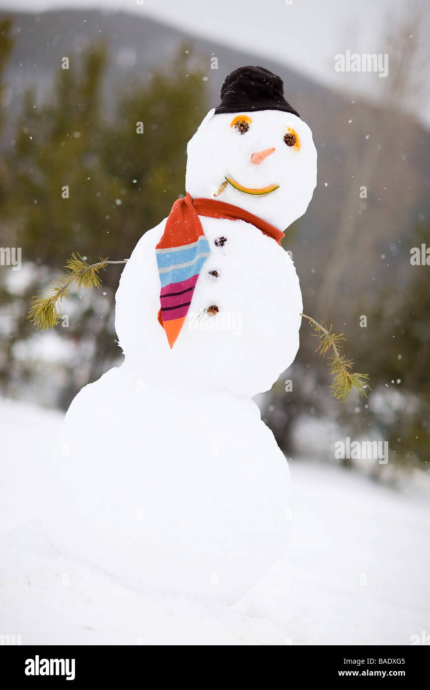 Snowman, Near Frisco, Summit County, Colorado, USA Stock Photo
