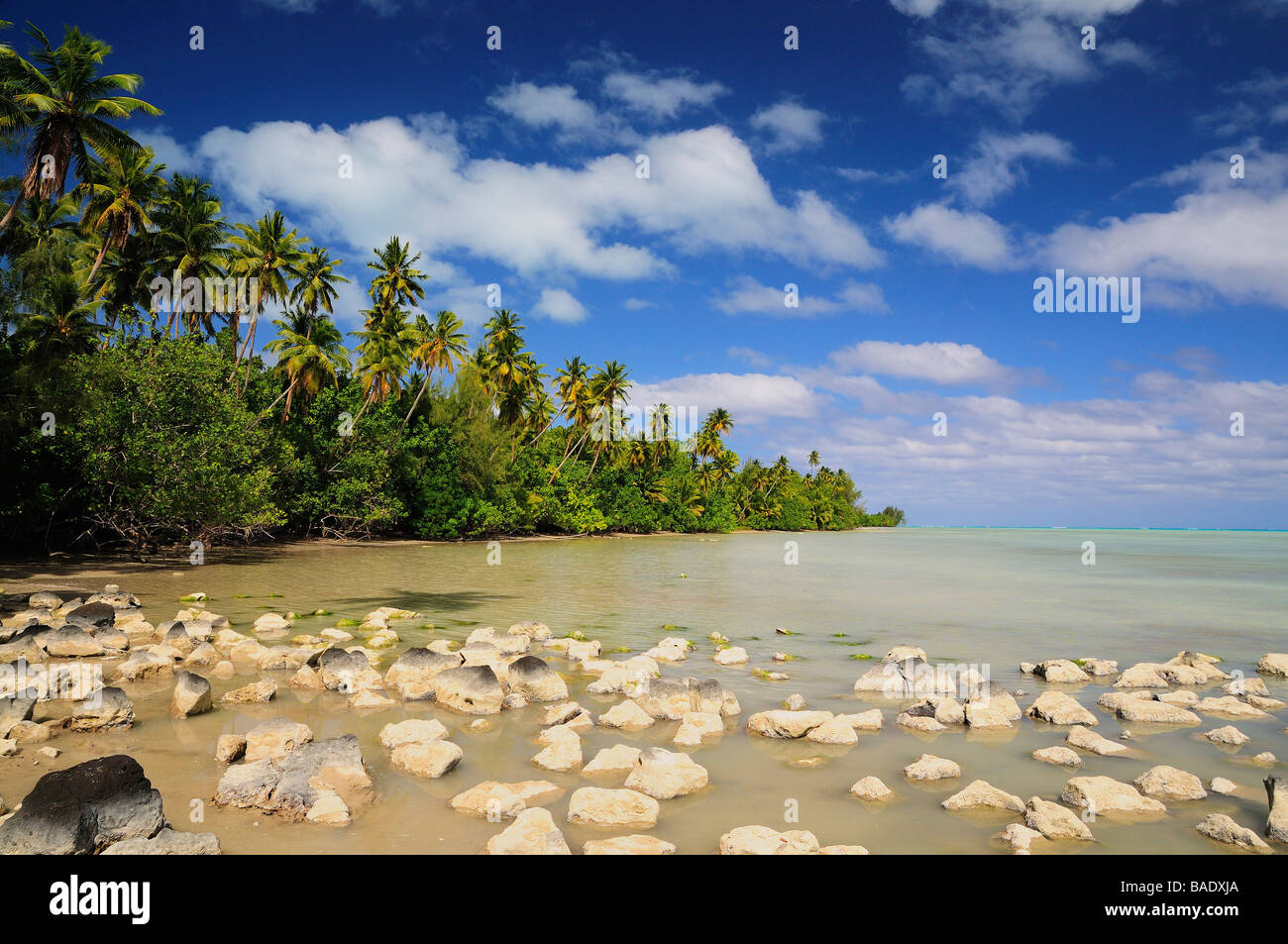 Rocks in Coastal Water, Aitutaki, Cook Islands Stock Photo