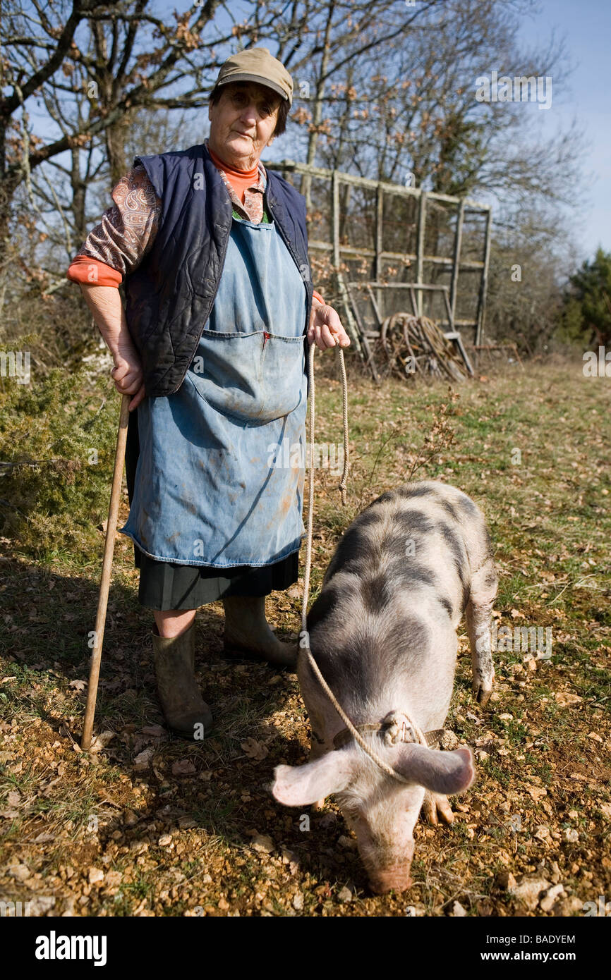 France, Lot, Causse de Limogne, Lalbenque, truffle harvesting, Marthe