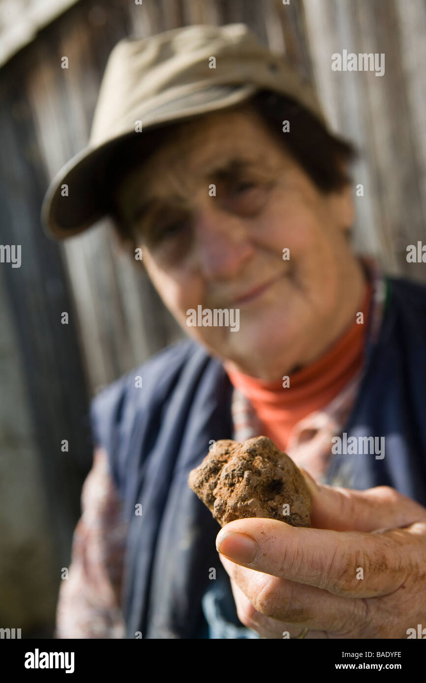 France, Lot, Causse de Limogne, Lalbenque, truffle harvesting, Marthe