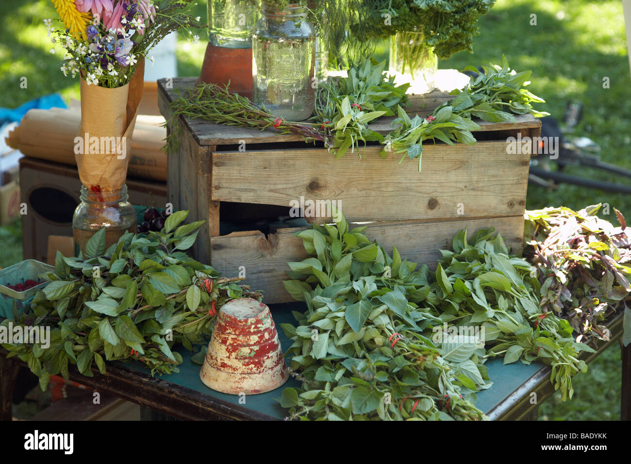 Herbs for Sale at Organic Farmer's Market Stock Photo Alamy
