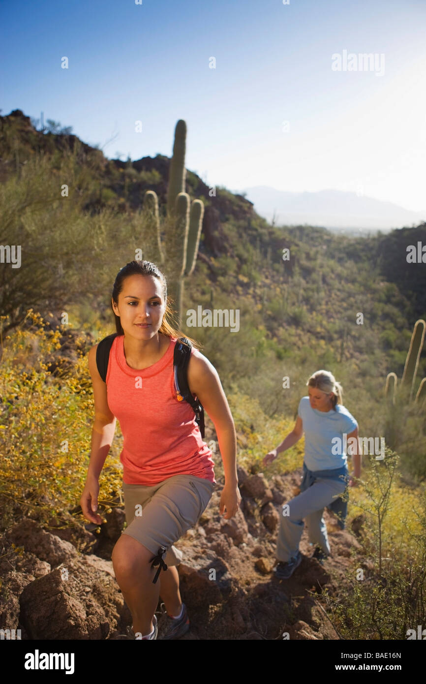 Two Women Hiking, Saguaro National Park, Tucson, Arizona USA Stock Photo