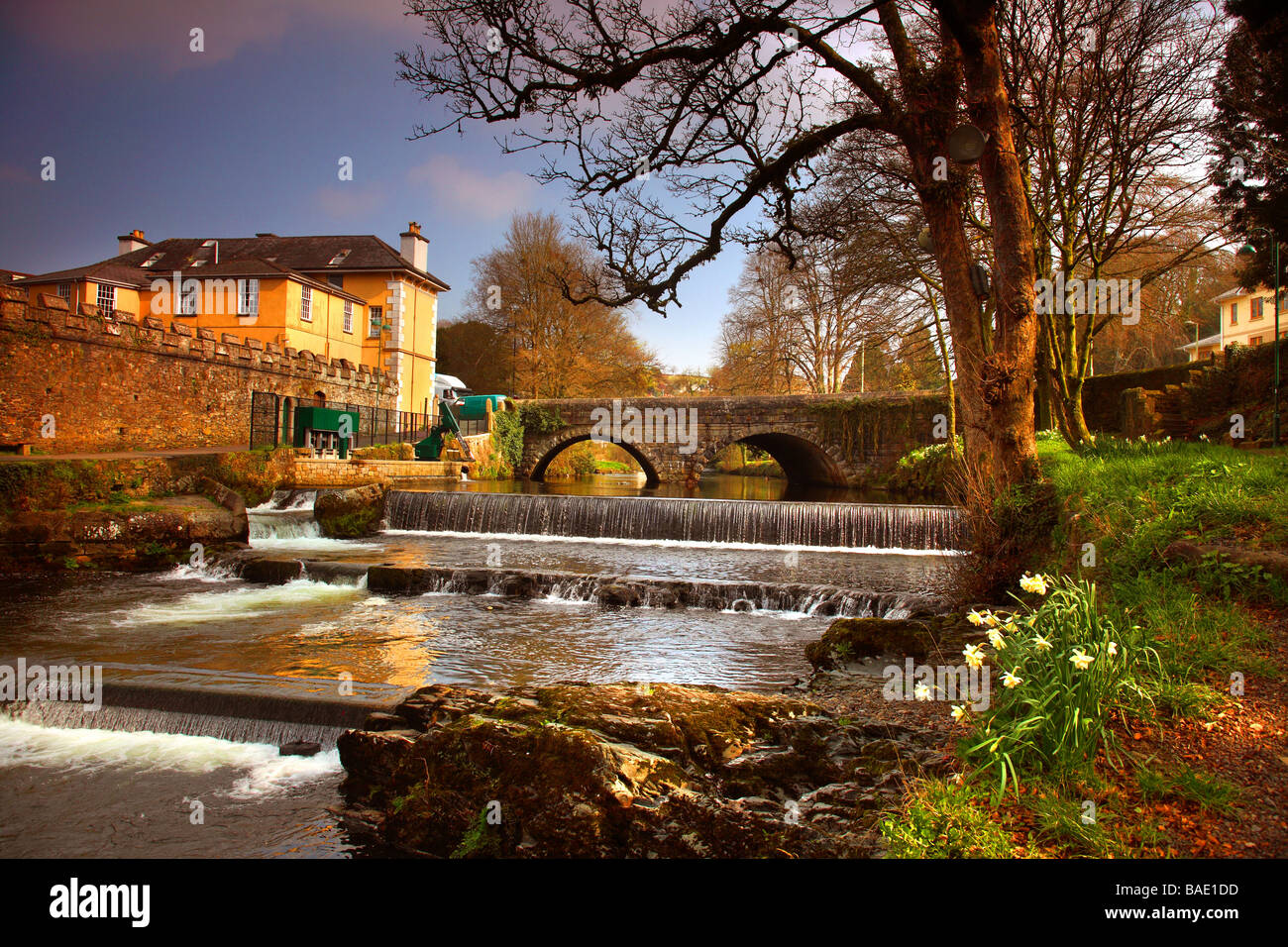 River Tavy, Tavistock, Devon, England Stock Photo Alamy