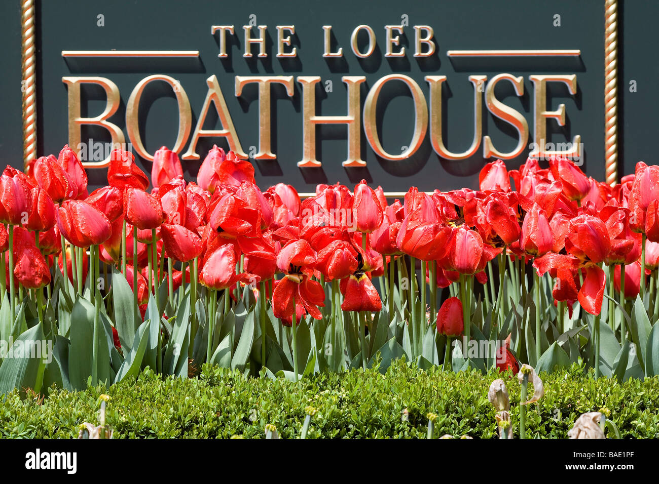 United States, New York, Central park in the Springtime, Boathouse