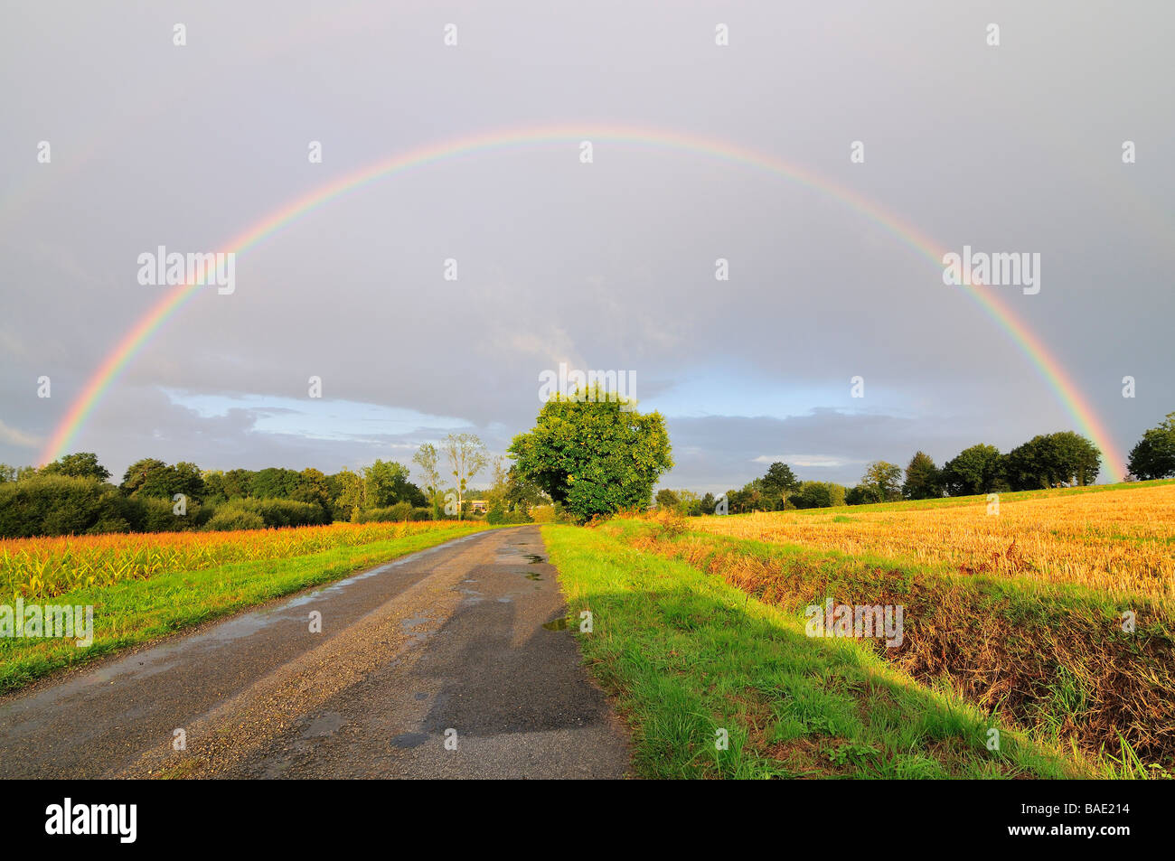 Rainbow Near Concoret, Paimpont Forest, Paimpont, Ille-et-Vilaine, Brittany, France Stock Photo