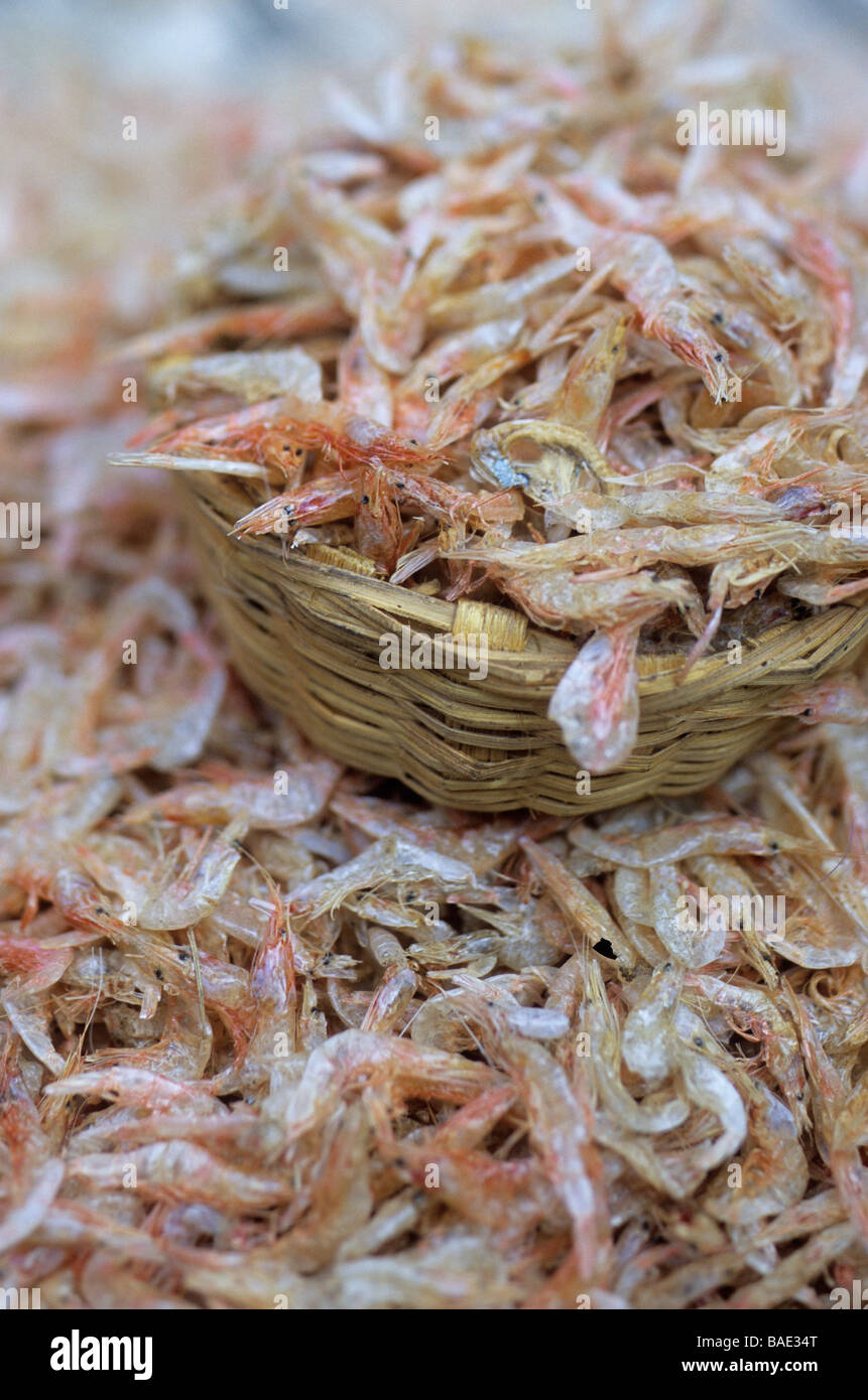 India, Maharashtra State, Mumbai (Bombay), Sassoon Docks, the fish