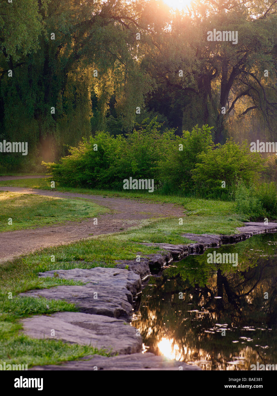 Walking Path by Pond Stock Photo