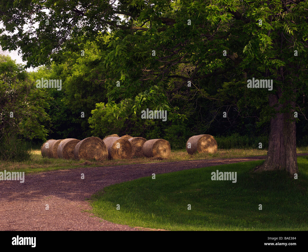 Hay Bales by Road Stock Photo