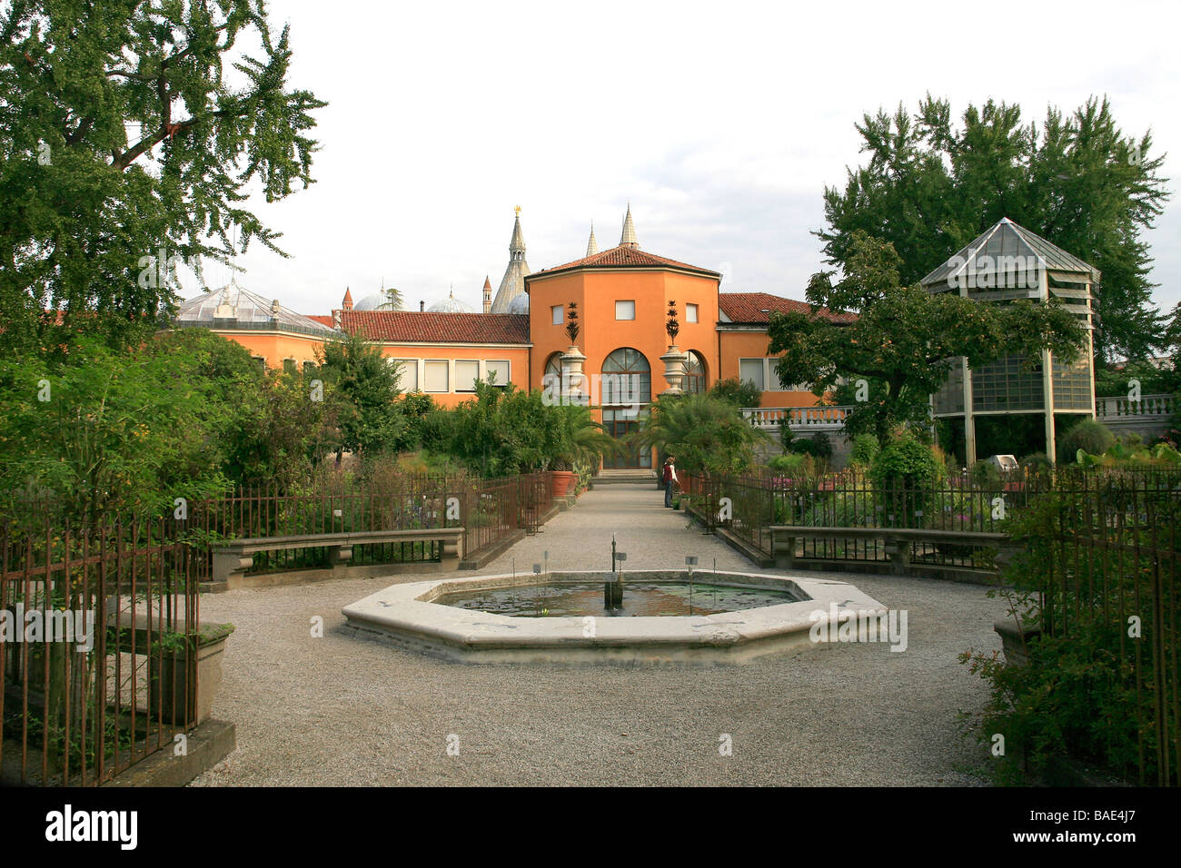 Botanical Garden Padua Veneto Italy Stock Photo Alamy