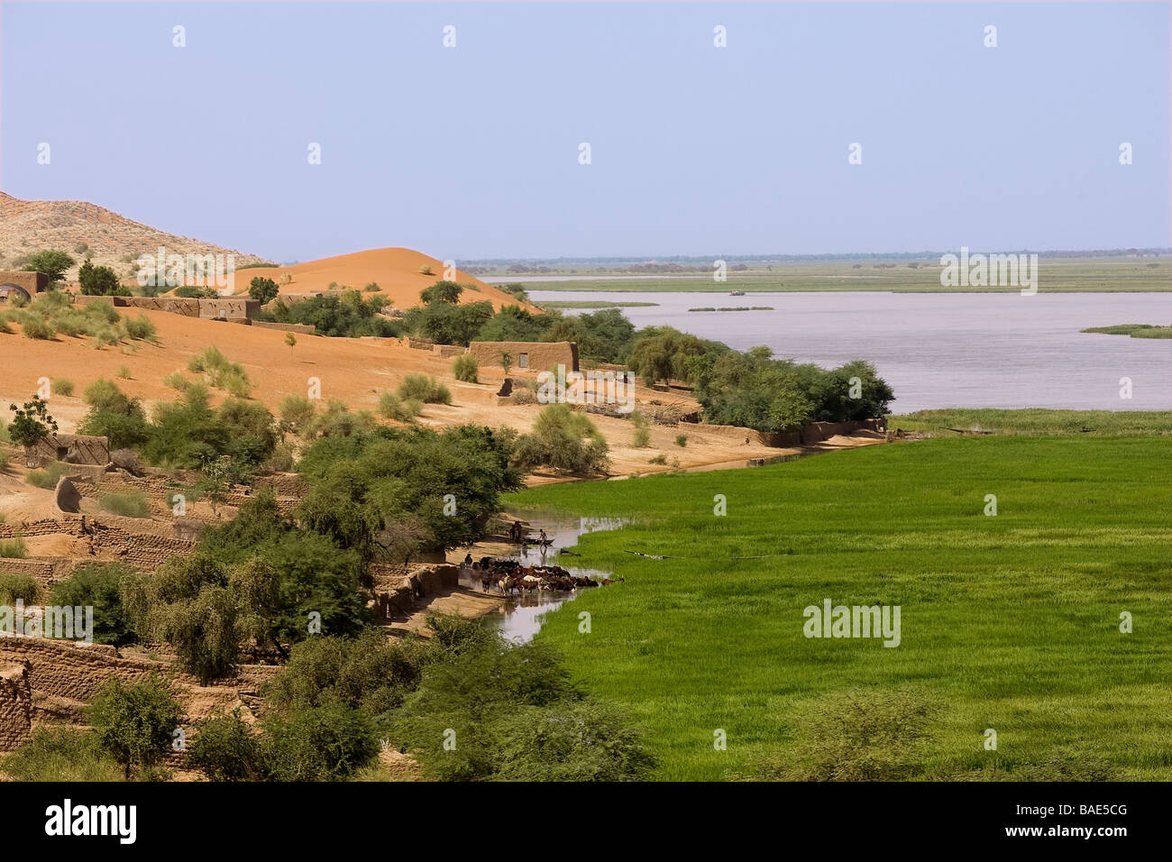 Niger river banks between timbuktu and gao hires stock photography and
