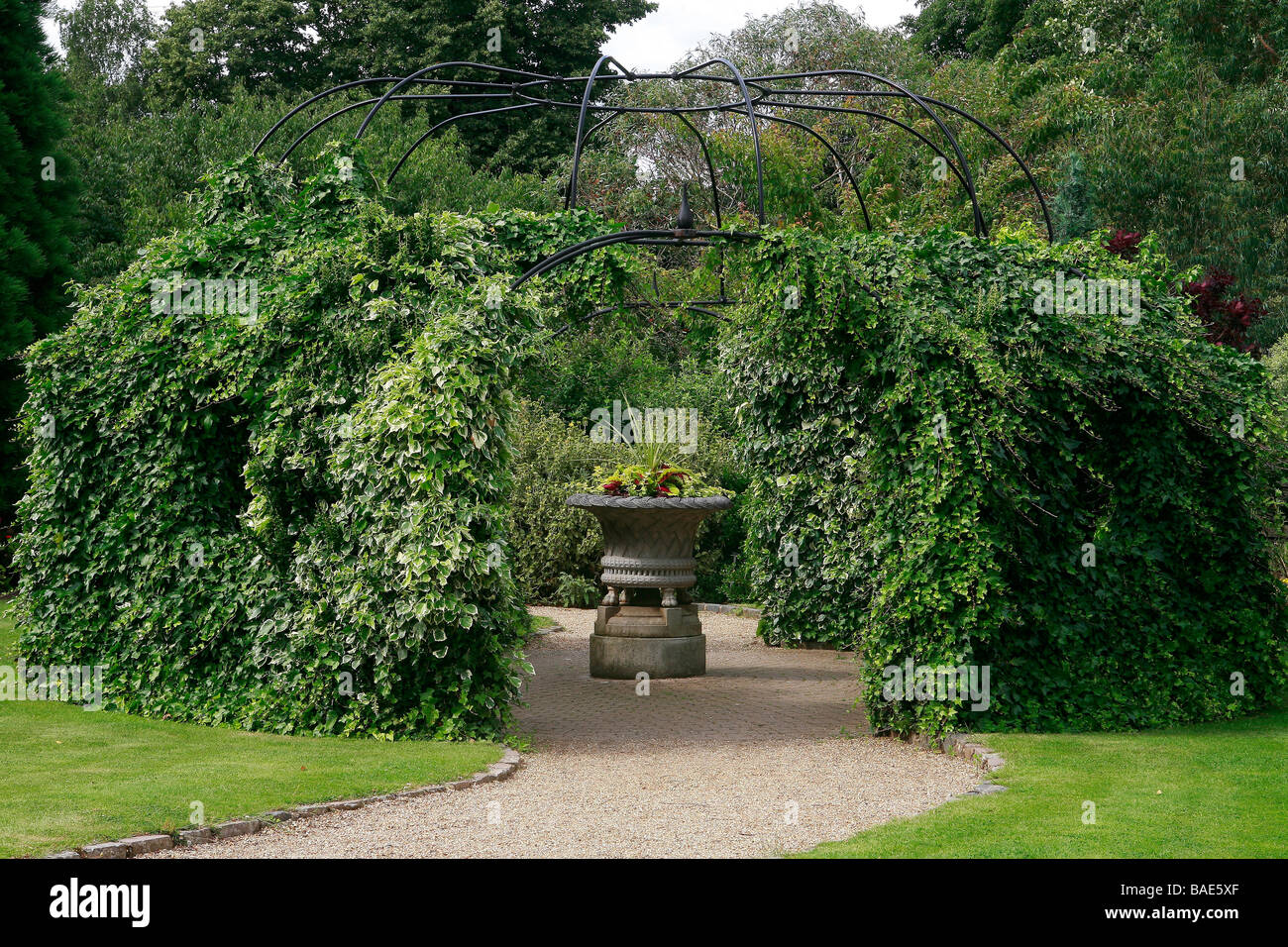Pergola with ivy Stock Photo Alamy