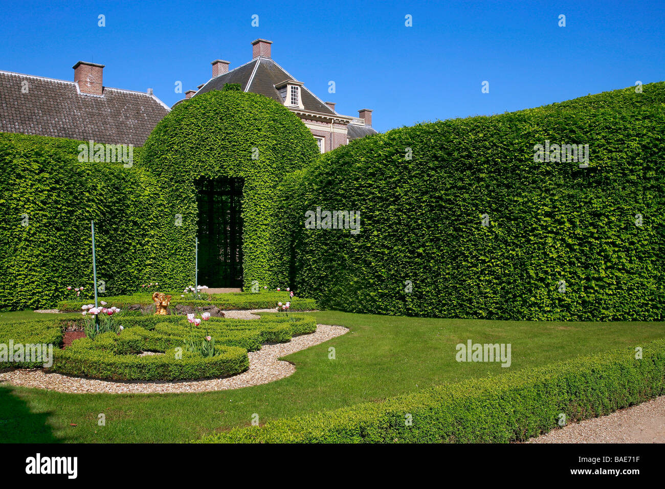 Vegetal Gallery of Carpinus, The Queen's Garden, Paleis Het Loo, Apeldoorn, Holland, Europe Stock Photo
