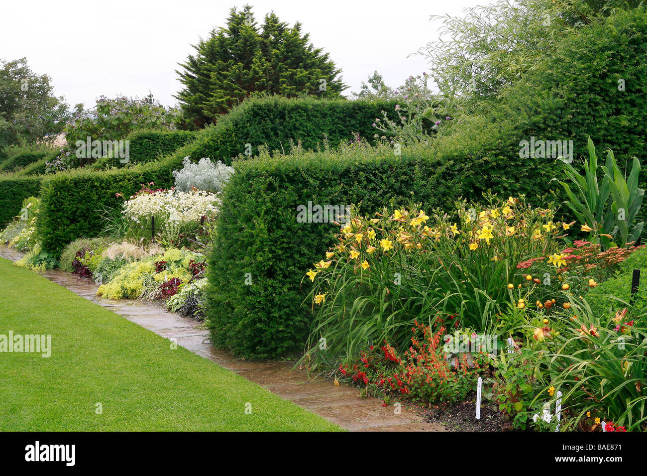 Hedge, Hyde Hall Garden, United Kingdom Stock Photo