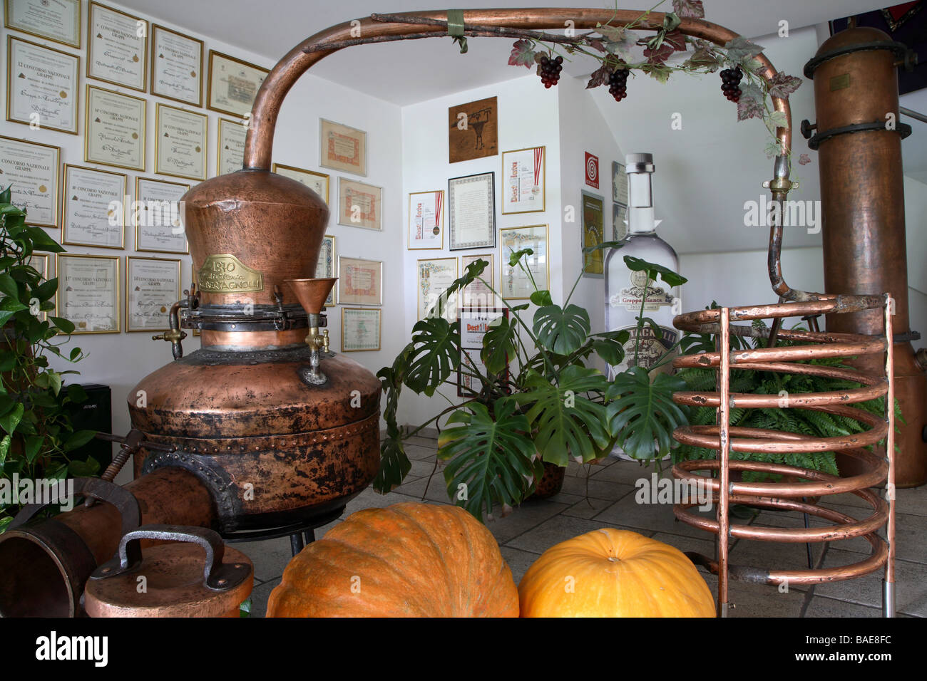 Italian Distillery Copper alembic, Bertagnoli Distillery, Mezzocorona, Trentino, Italy ...