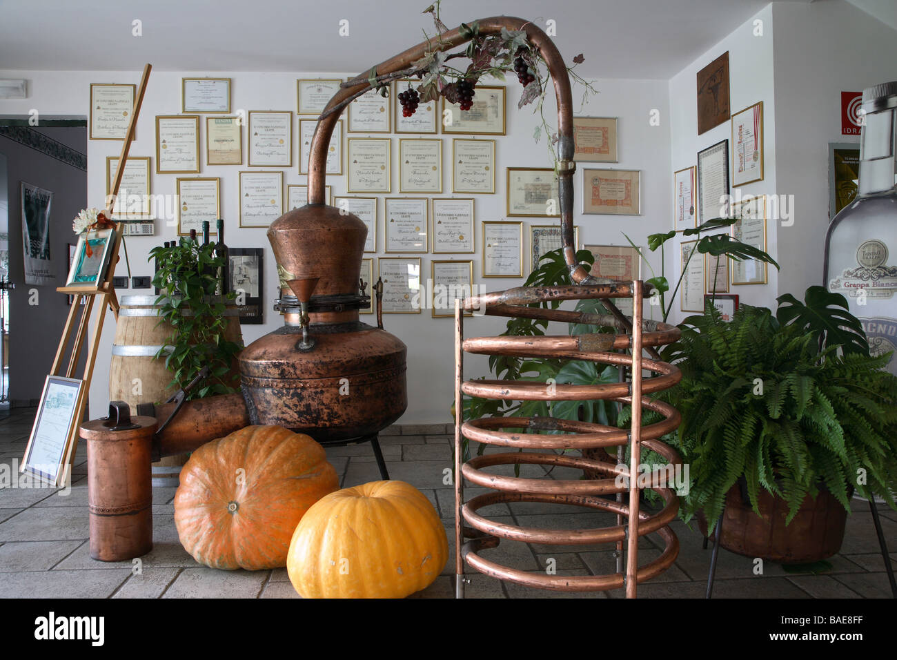 Italian Distillery Copper alembic, Bertagnoli Distillery, Mezzocorona, Trentino, Italy ...