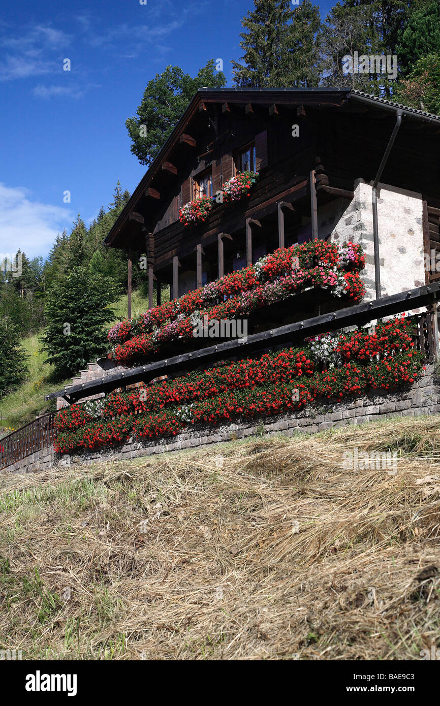 Baita hi-res stock photography and images - Page 15 - Alamy, image size:866x1390