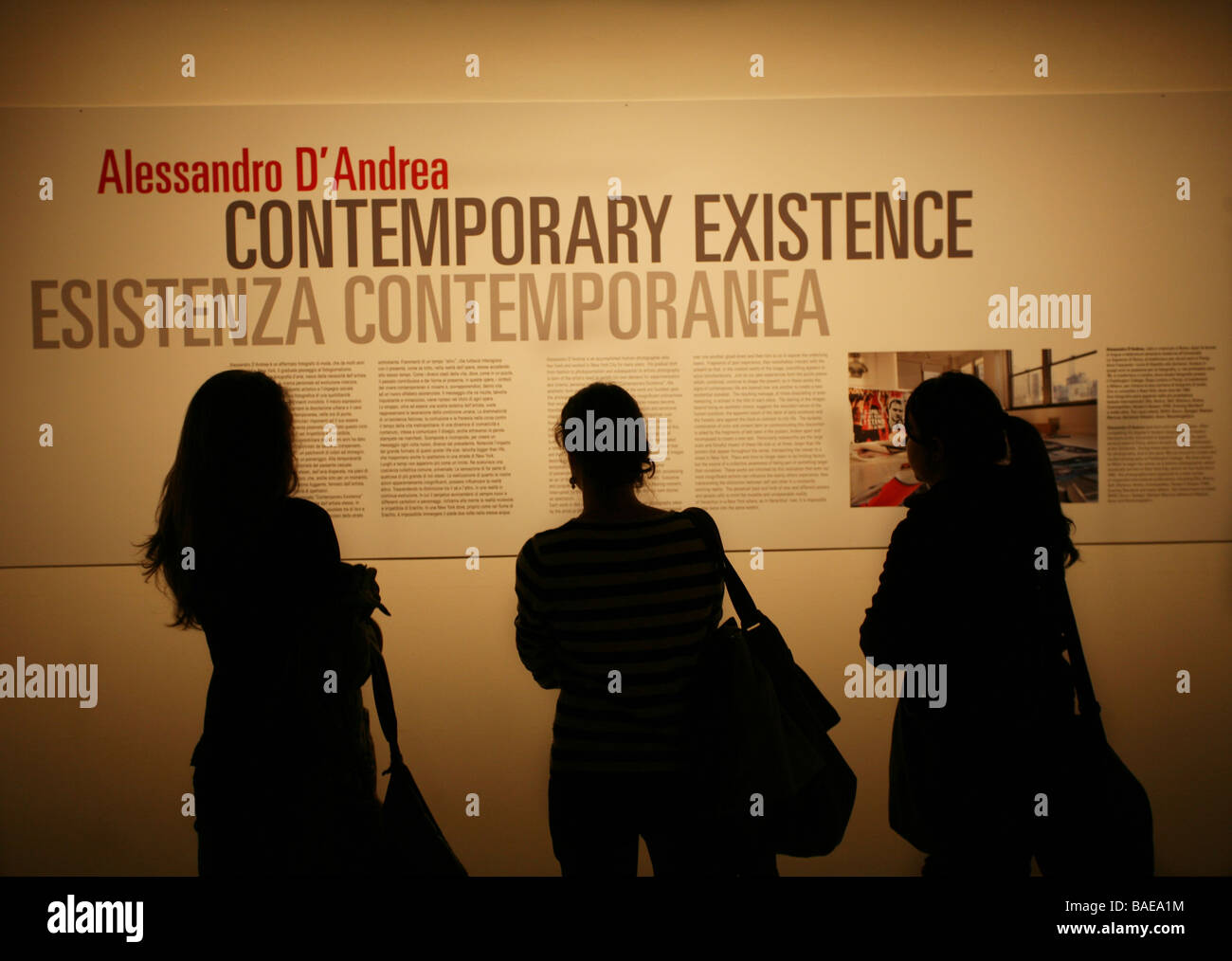 Triennale Design Museum, Contemporary Existence, Alessandro D'Andrea, Milan, Lombardy, Italy Stock Photo