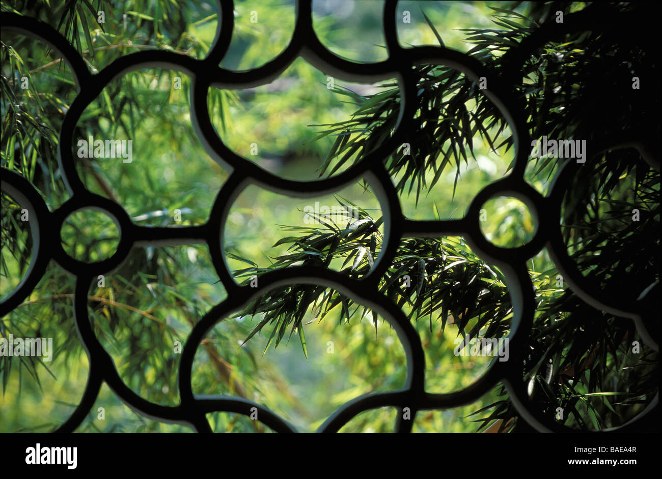 中国美術 白磁 刻草花紋 盤 φ16cm 影青(K-XA680) Huxing hi-res stock photography and images - Alamy