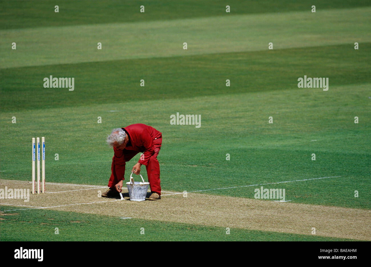 A groundsman white lining the crease at the oval cricket ground Stock Photo